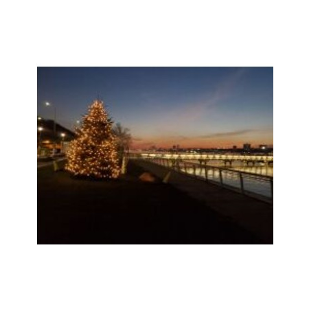 Thumbnail Image 1