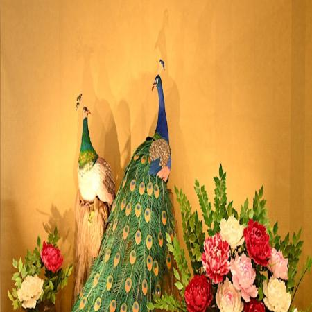 Thumbnail Image 1