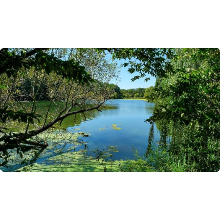 Thumbnail Image 1