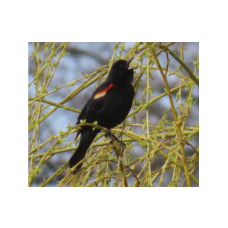 Main Slider Image