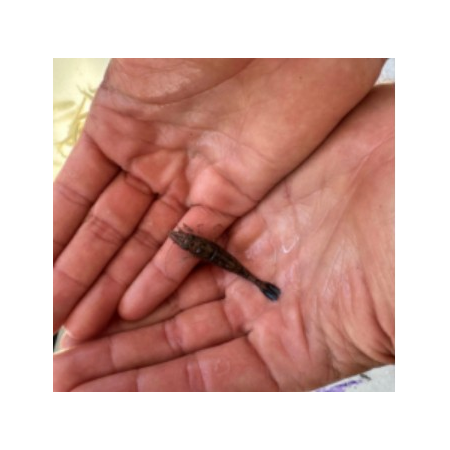 Thumbnail Image 1