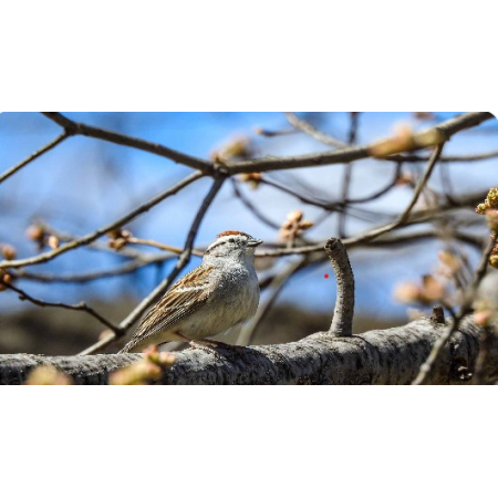 Main Slider Image