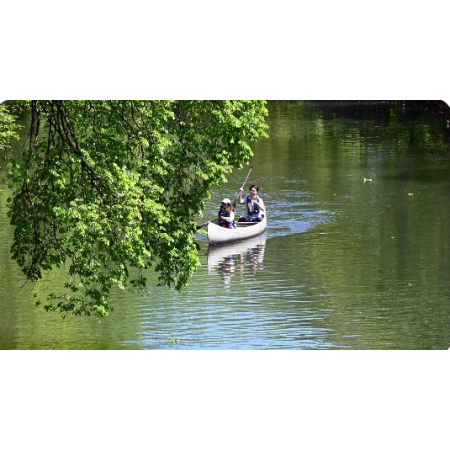 Thumbnail Image 1